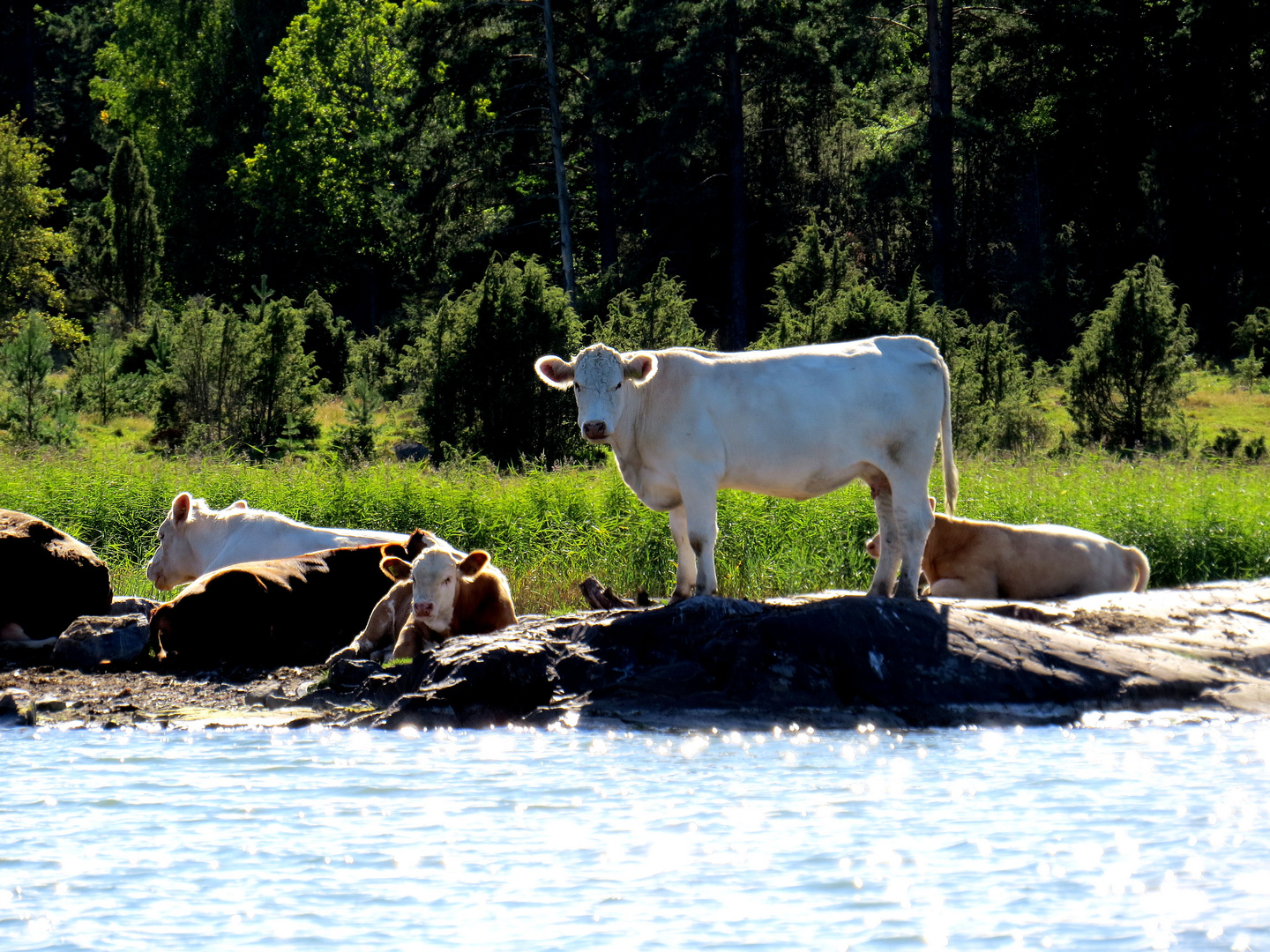 Chillen am Fjord...........................