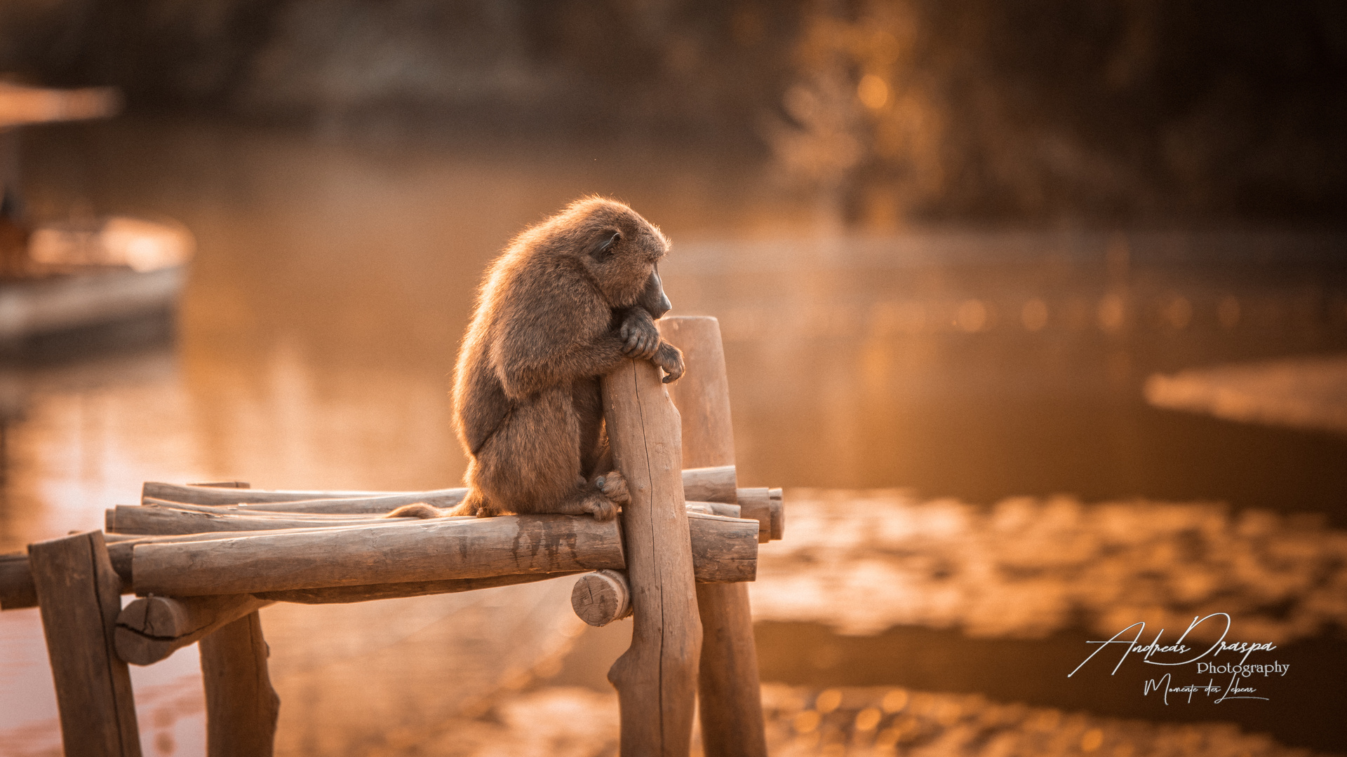 Chillen am See