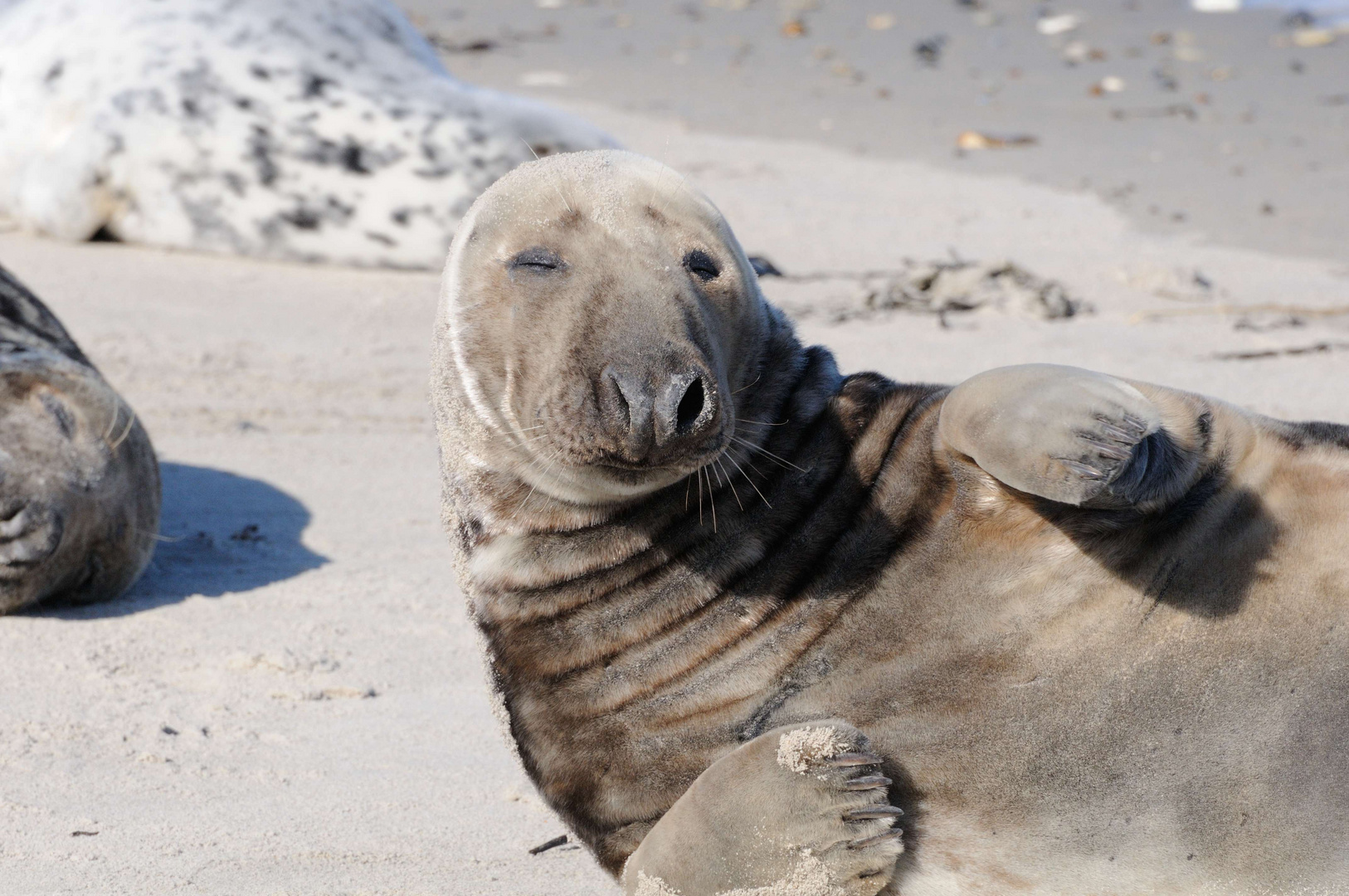 "Chillen" am Strand