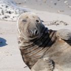 "Chillen" am Strand