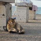 Chillen am Strand