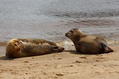 Chillen am Weserstrand_1