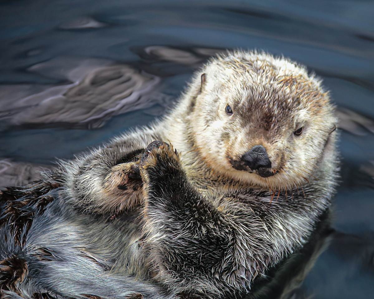 Chillen auf dem Wasser