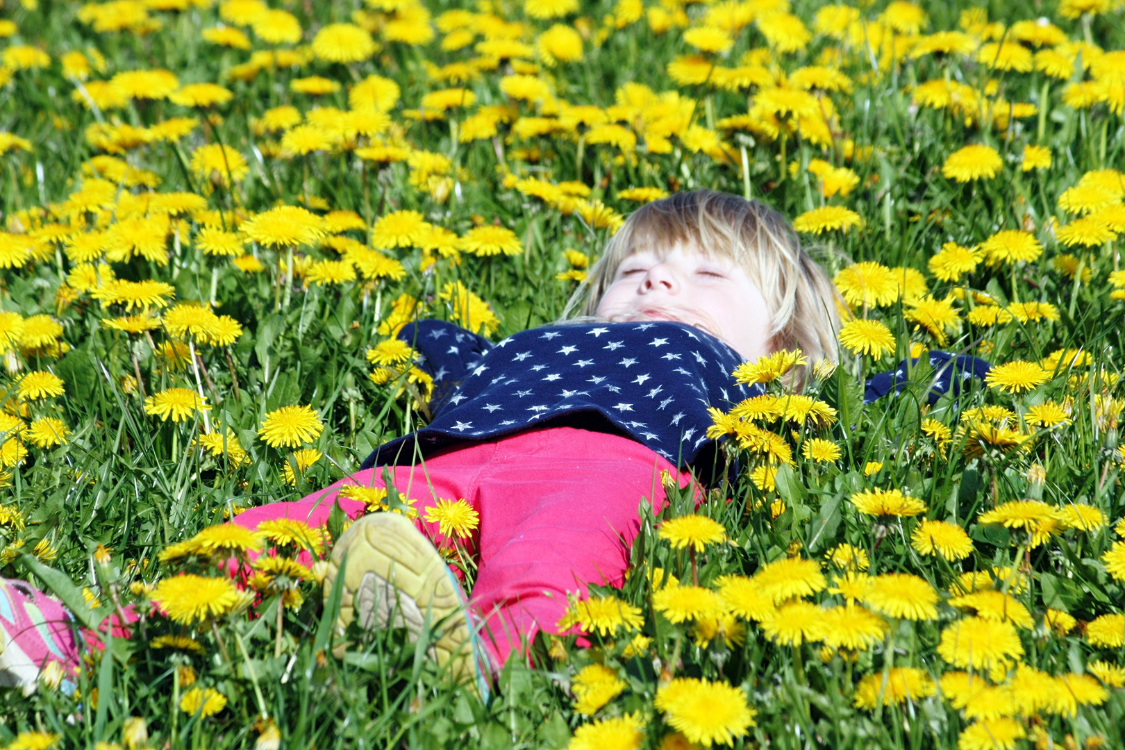 chillen auf der Butterblumenwiese