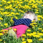 chillen auf der Butterblumenwiese