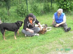 Chillen auf der Hundewiese