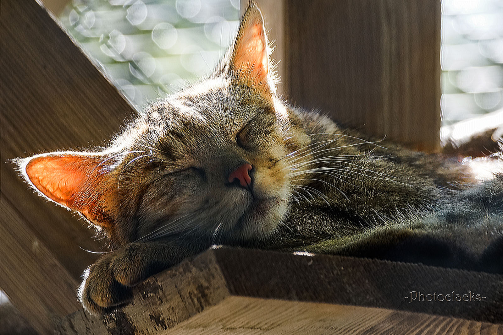 chillen bis zum Ohrenglühen