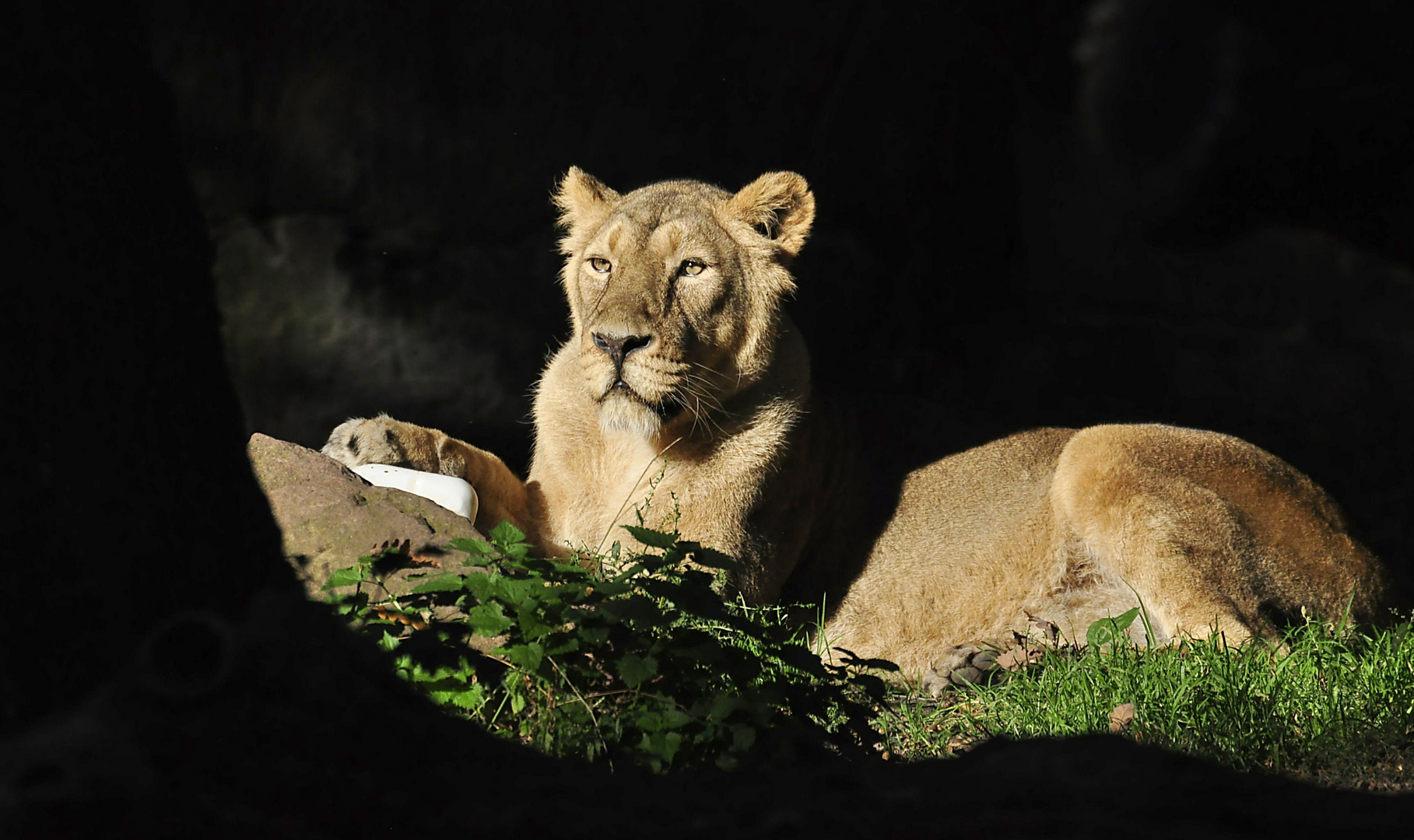 Chillen im Abendlicht......