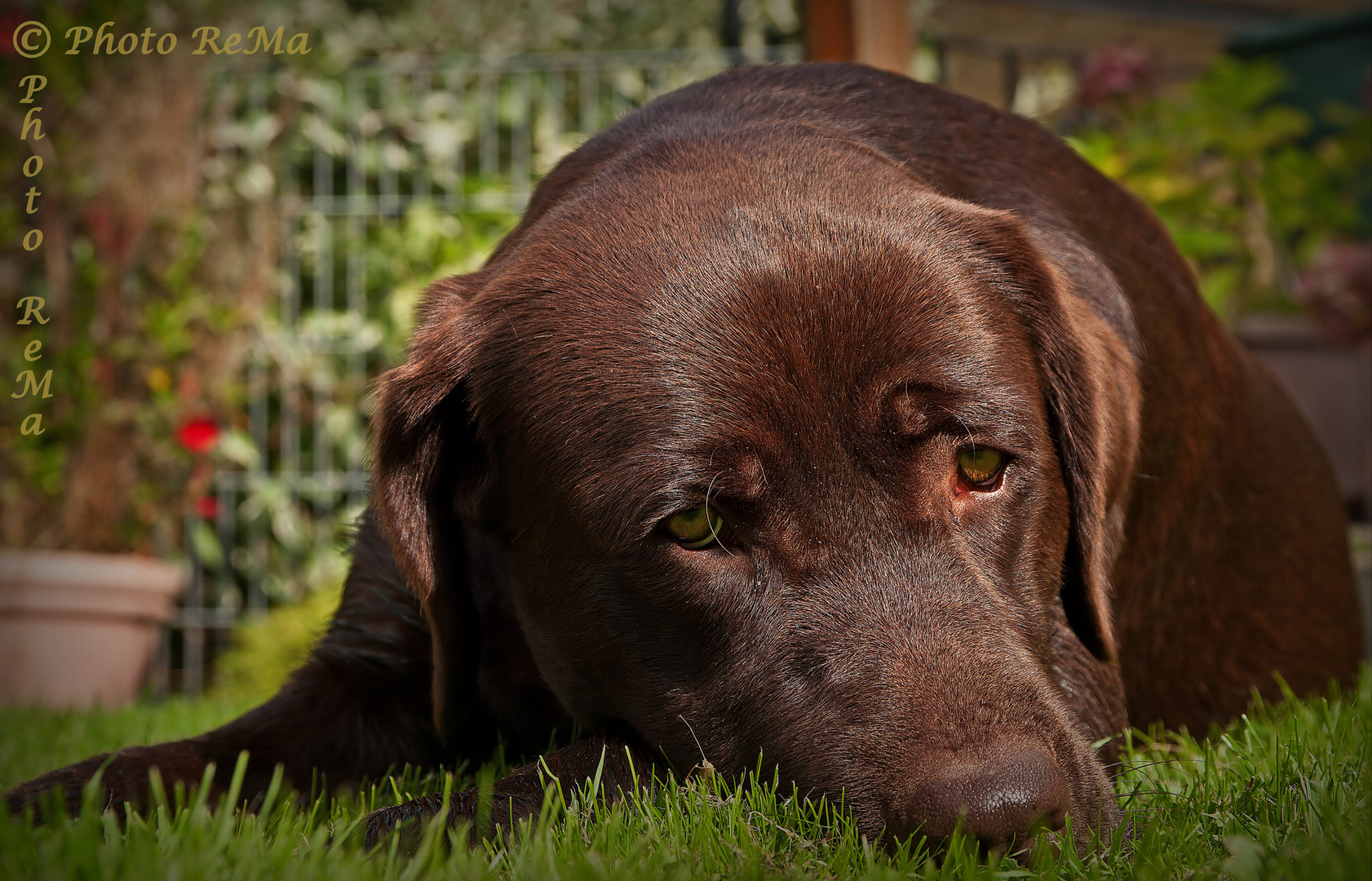 Chillen im Garten