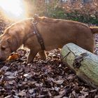 Chillen im Grafenberger Wald