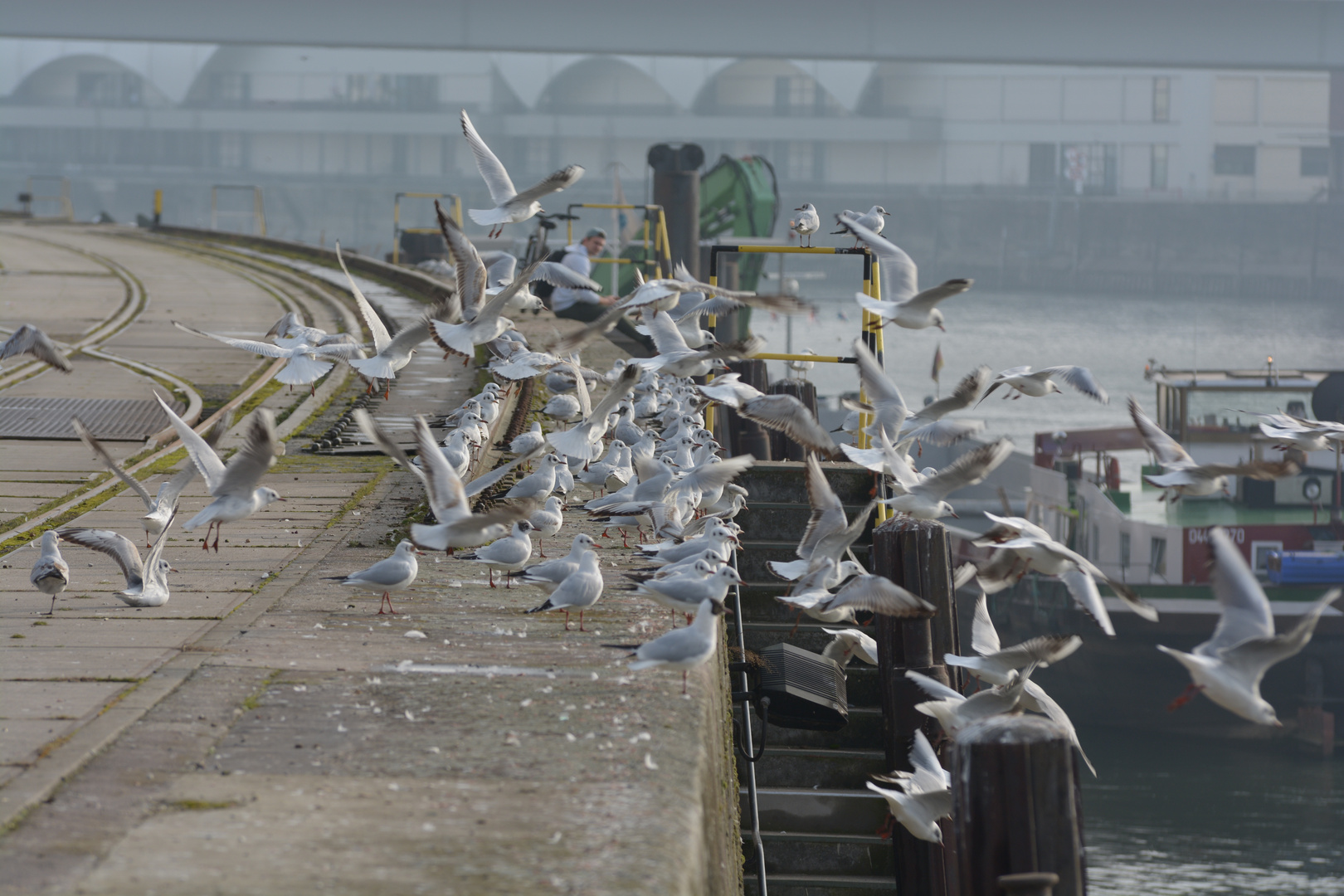 Chillen im Hafen 