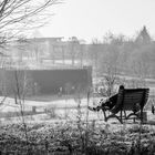 Chillen im Park