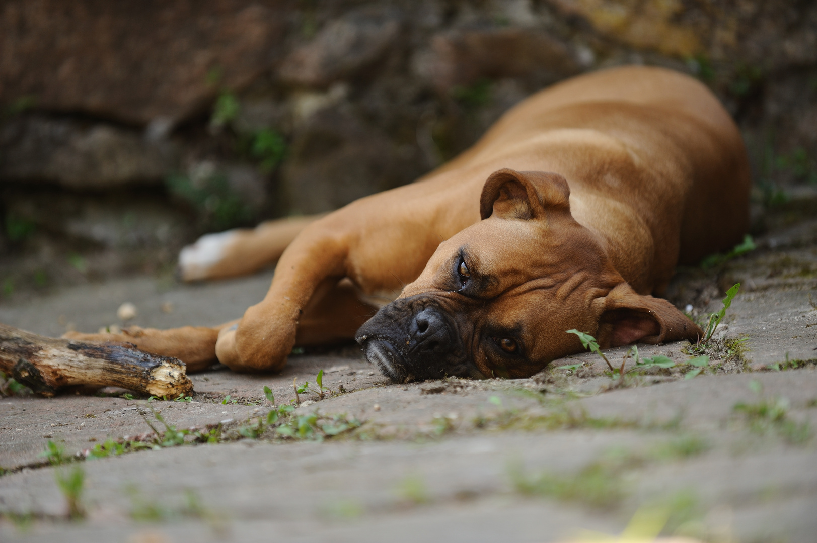 Chillen im Schatten