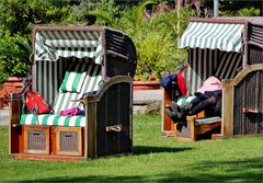 Chillen im Zoo