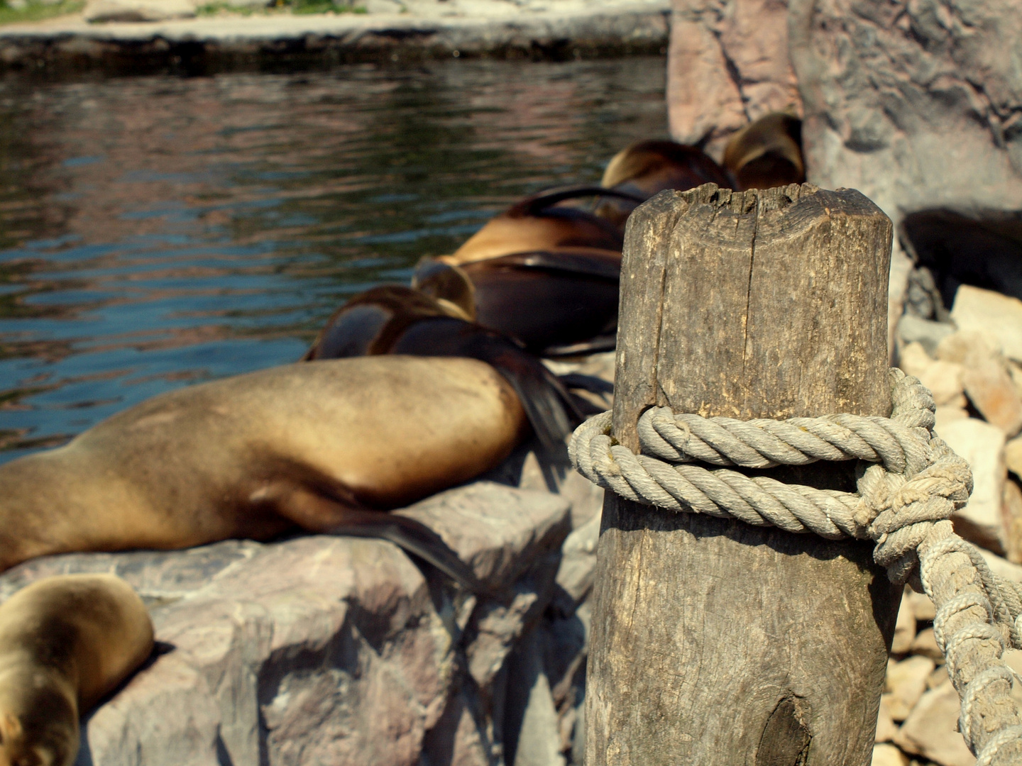 Chillen in der Sonne