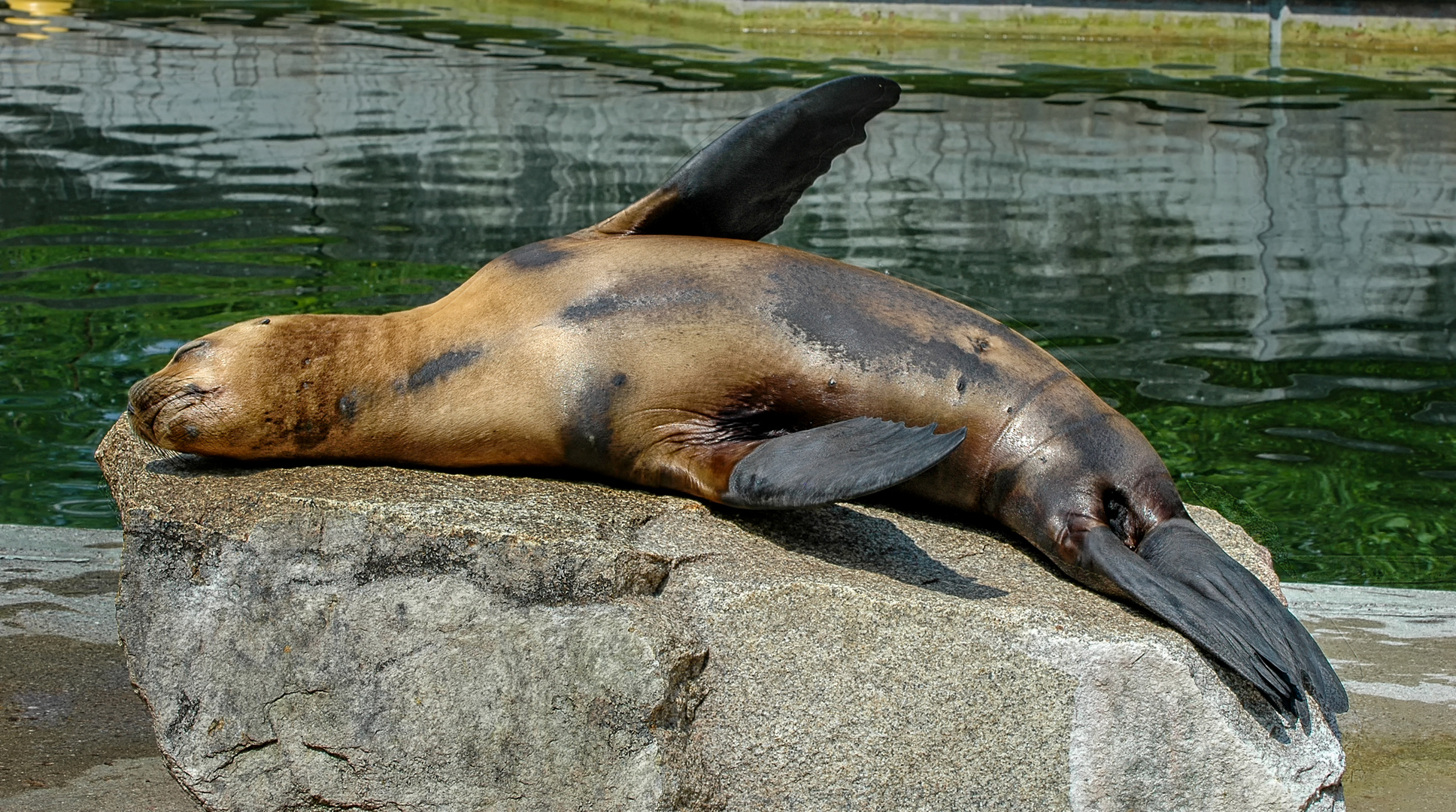 Chillen in der Sonne