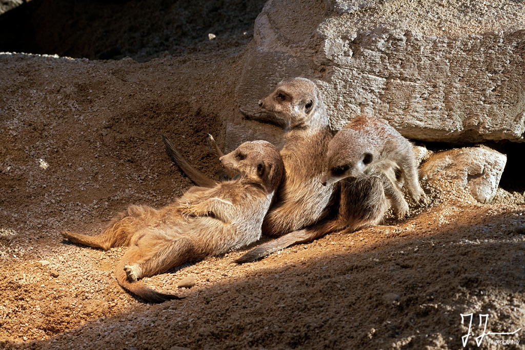 Chillen mit den Kumpels