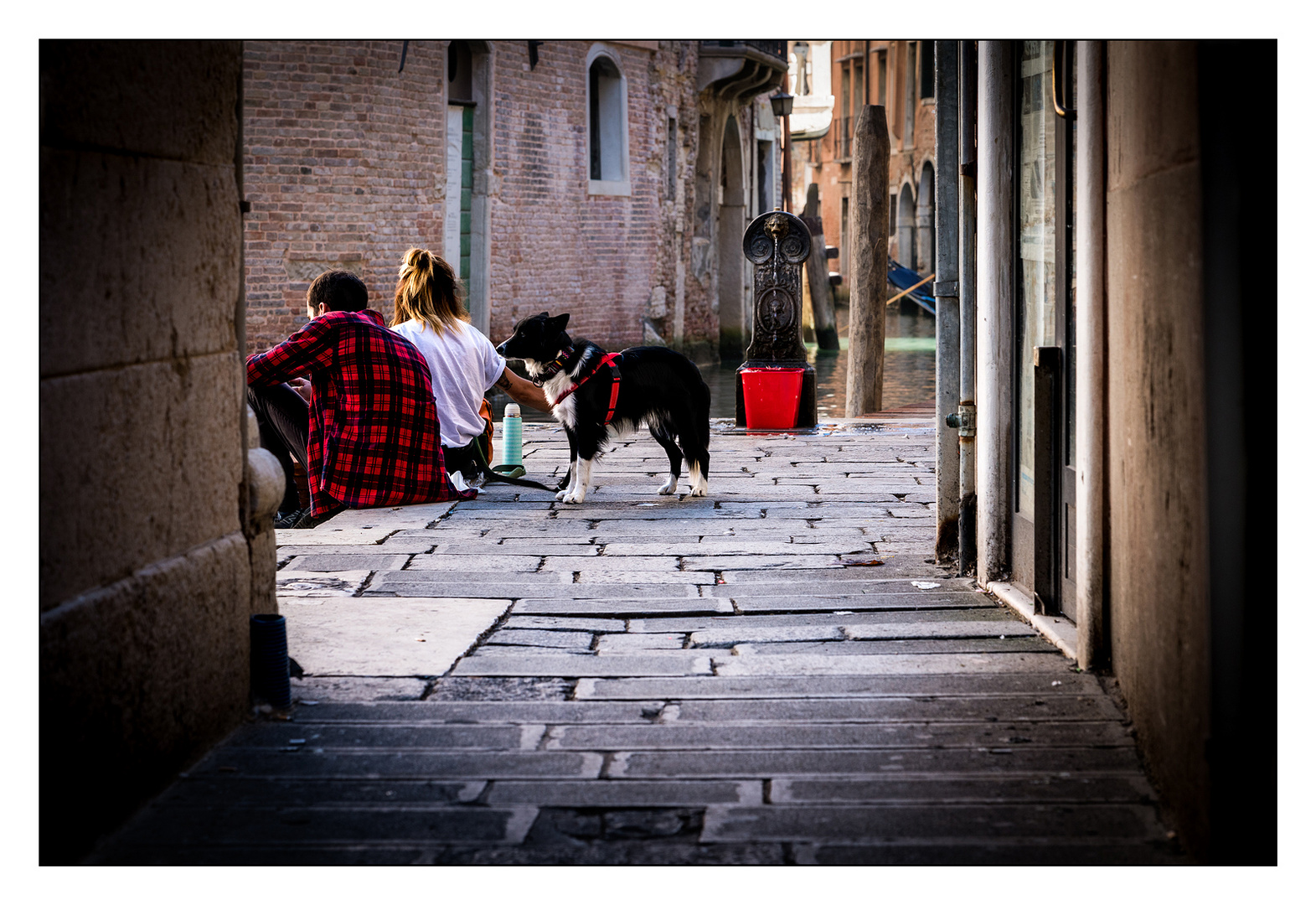 Chillen mit Hund Venedig Foto & Bild europe, italy, vatican city, s