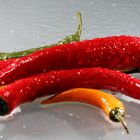 Chilli