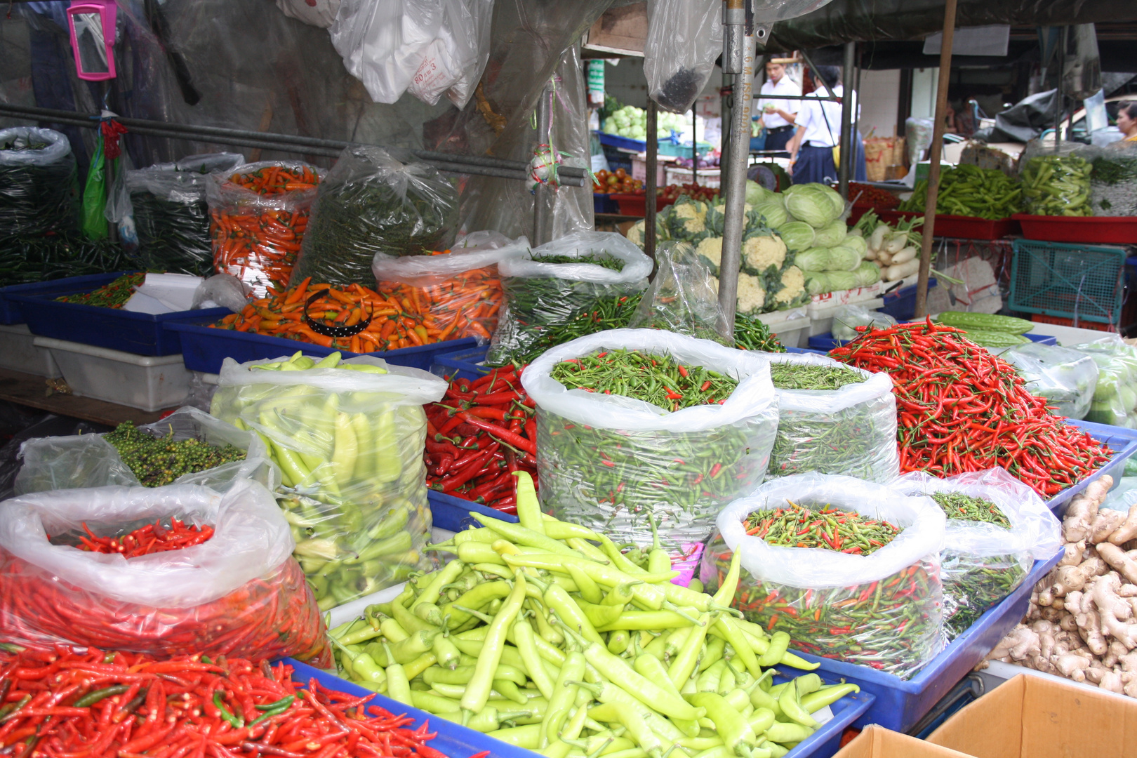 Chilli market