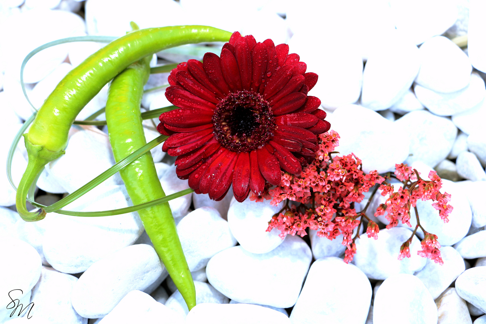 Chilli meets flowers.