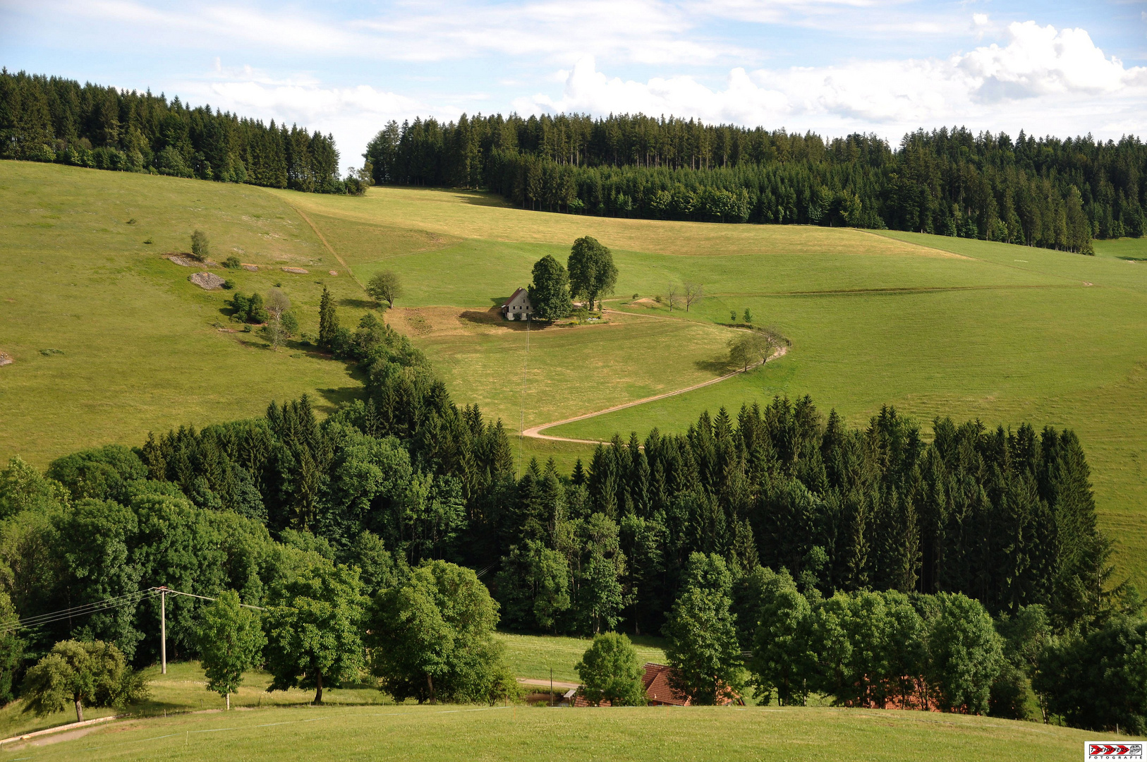 chilliger Schwarzwaldausblick