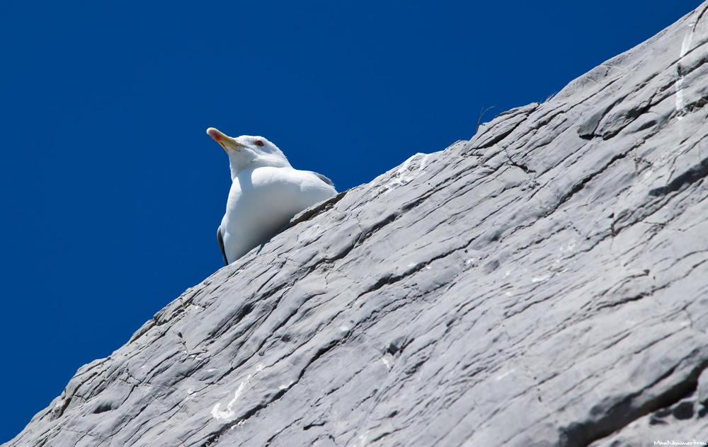 chillin' on the edge