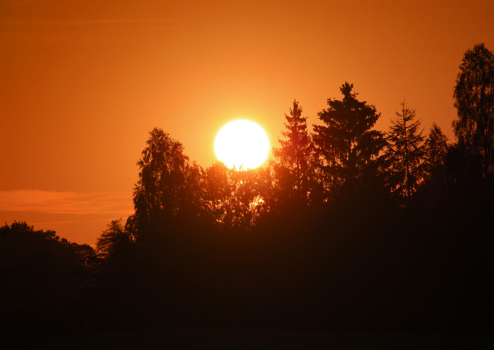 chilling sun von Juliane Hellmann