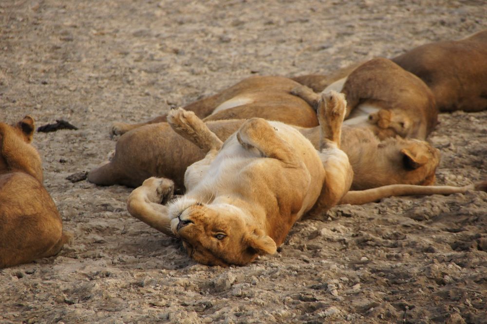 Chilling time von BineZ 