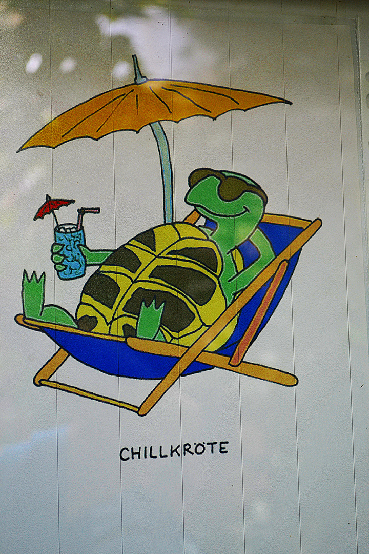 *** CHILLKRÖTE ***