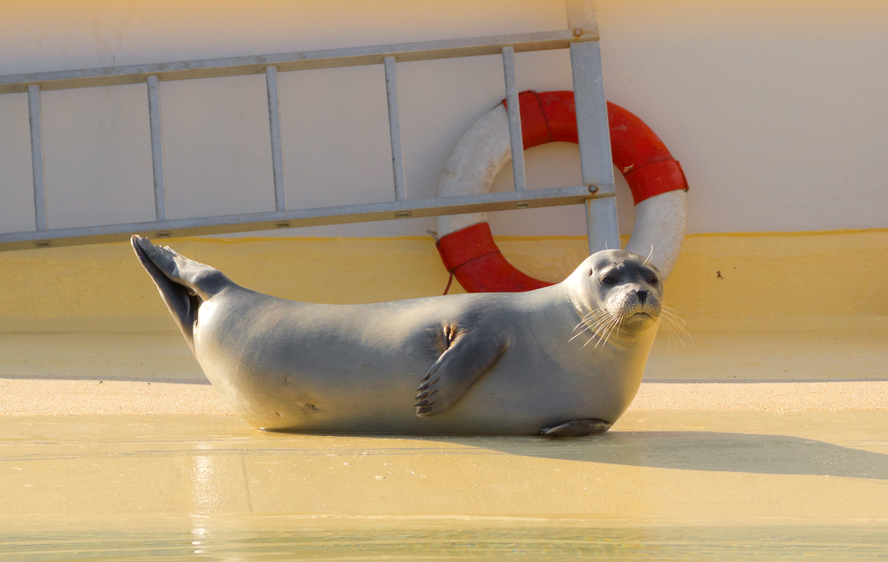 Chill'n am Meer...