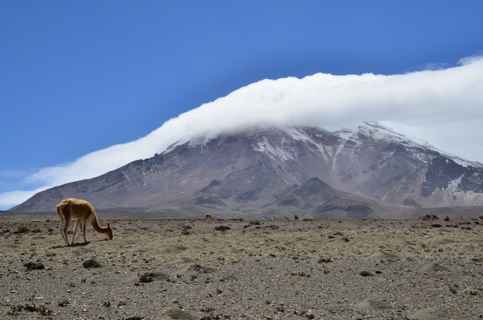 Chimborazo