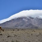 Chimborazo