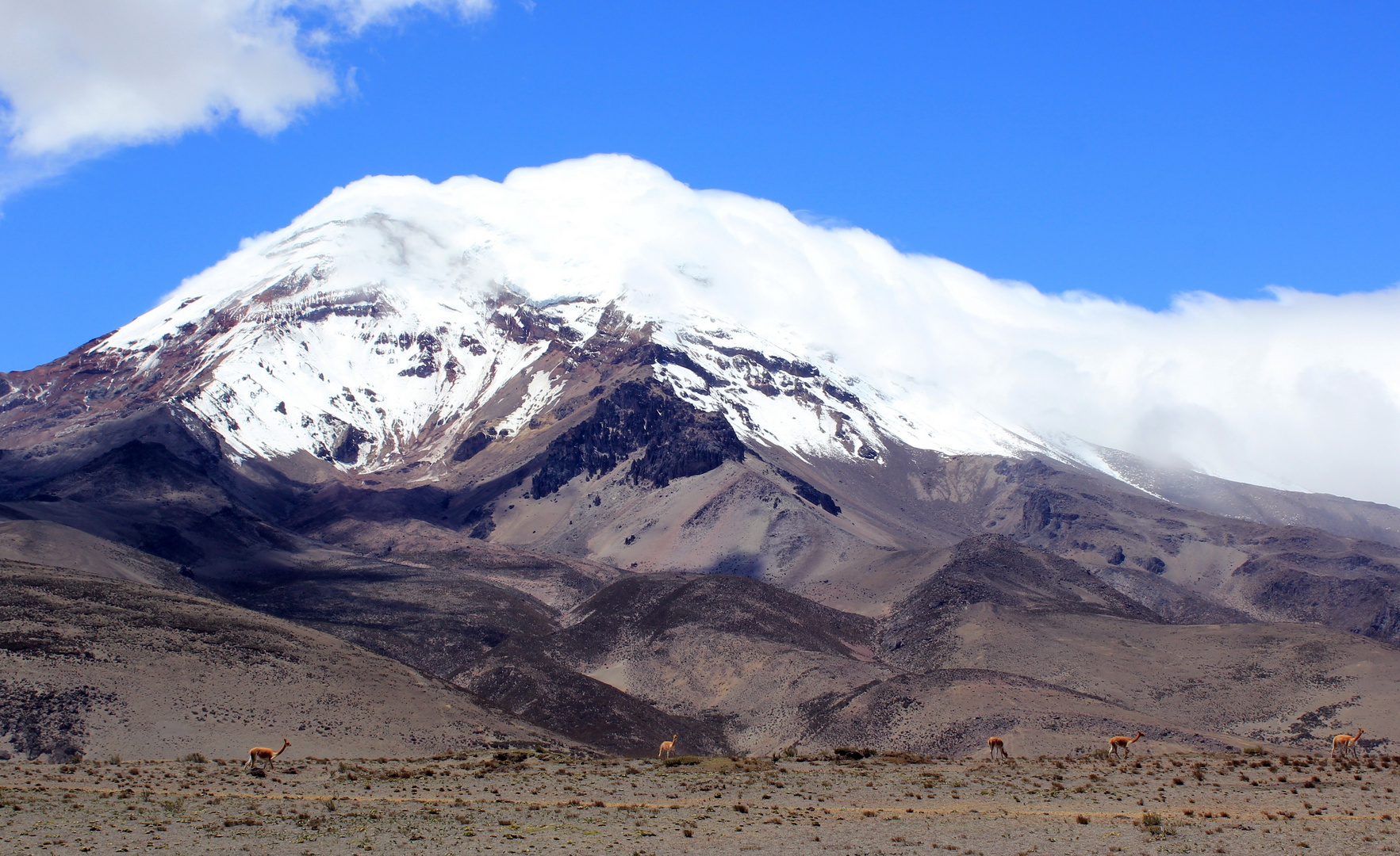 Chimborazo