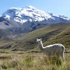 Chimborazo, Ecuador