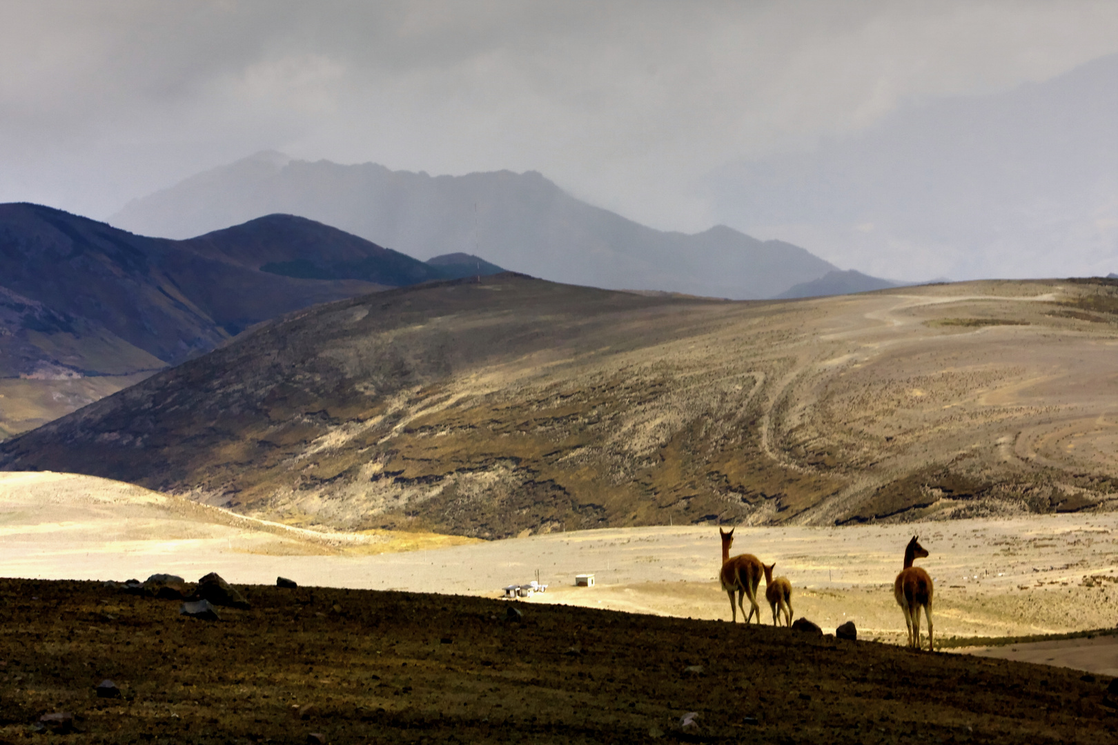 Chimborazo - Ecuador