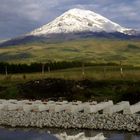 Chimborazo reflejo