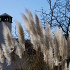 Chimenea y vegetación en el rio Genil de Granada