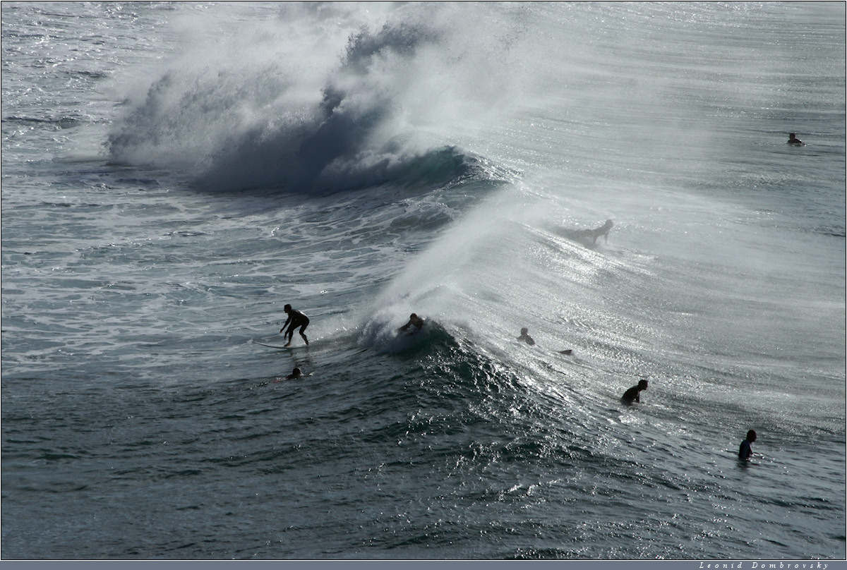 Chimeras of Tasman sea