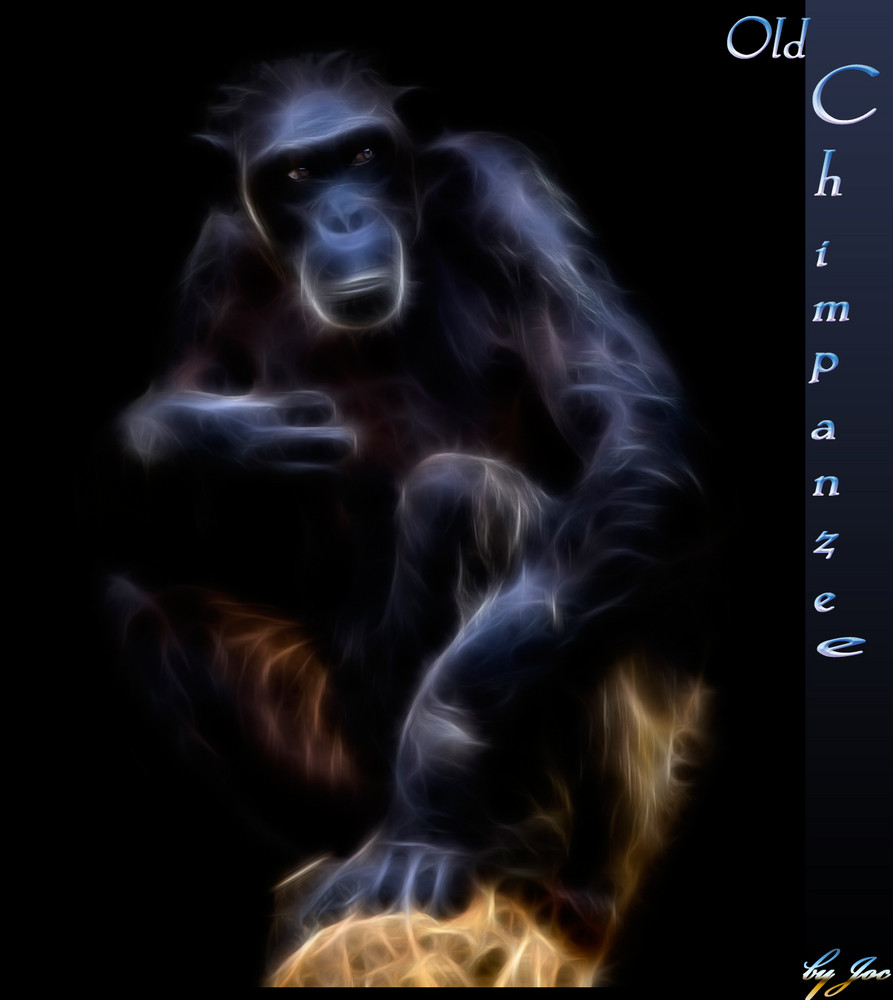 Chimpanzee -Fractalius