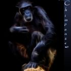 Chimpanzee -Fractalius