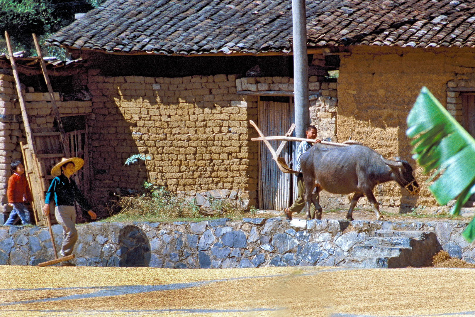 China 1986 (23)