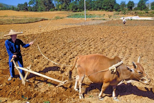 China 1986: ein Rückblick (2)