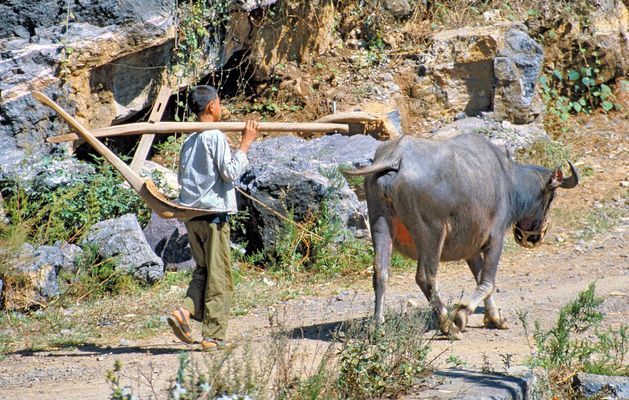 China 1986: ein Rückblick (4)