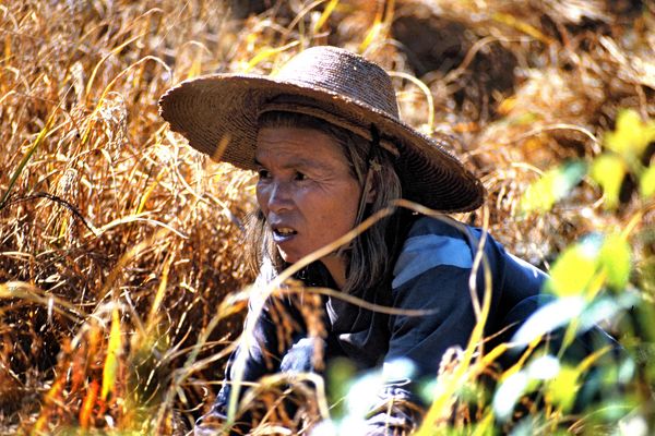 China 1986: ein Rückblick (5)