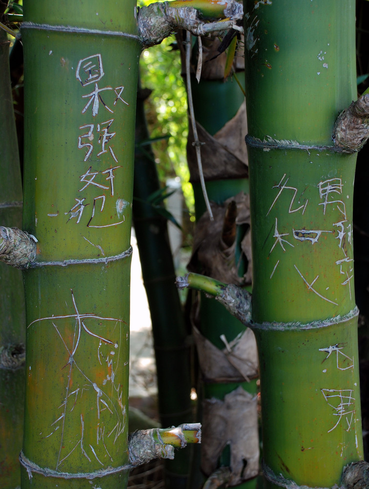 China, Bambus mit Schrift