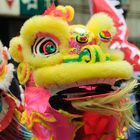 China Dragon at new year