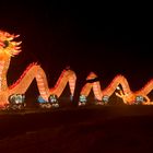 China Festival of Lights - The Dragon