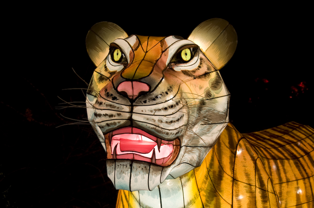 China Festival of Lights - The Tiger