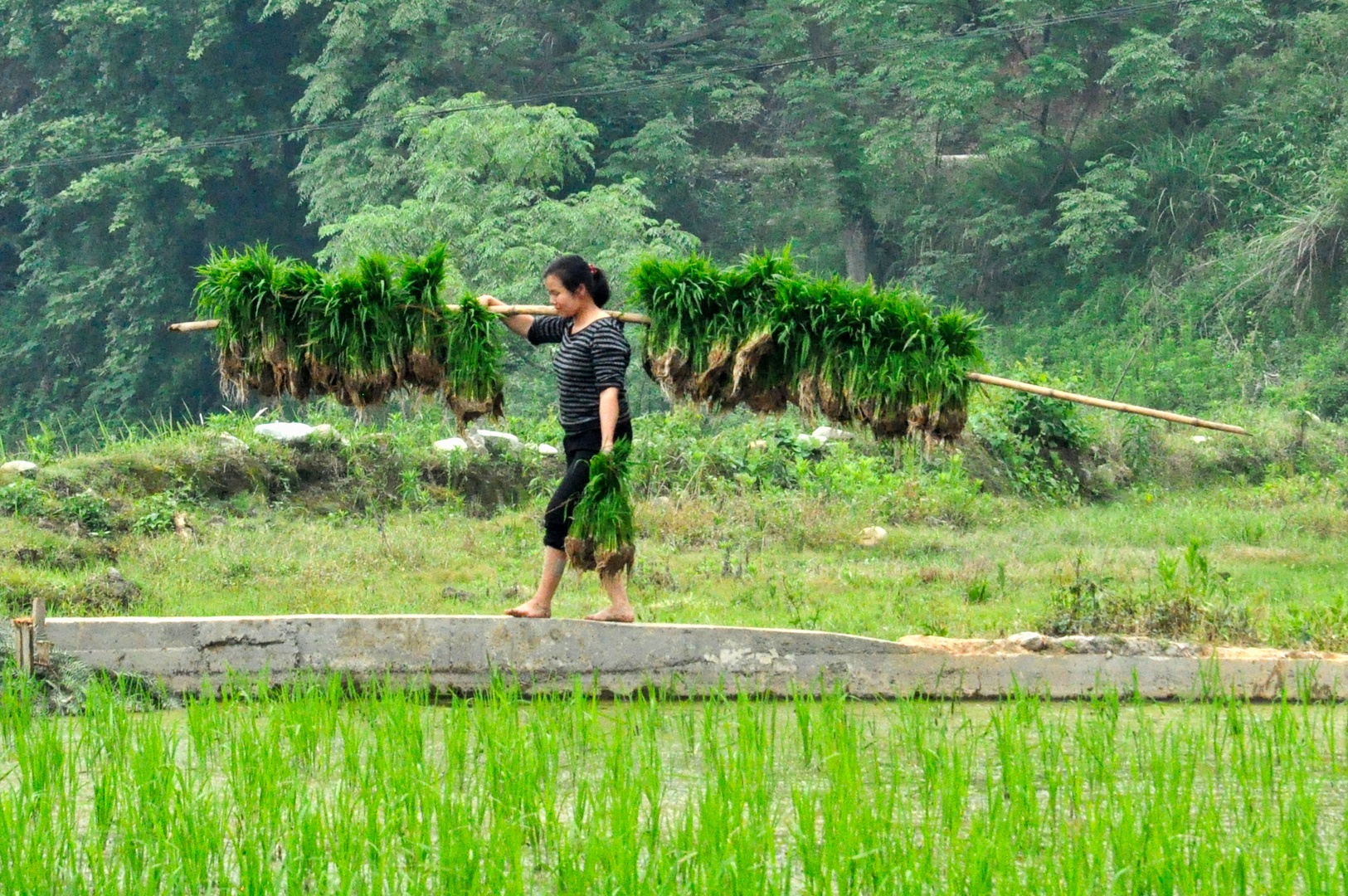 China Guizhou "Es gibt viel zu tun..."